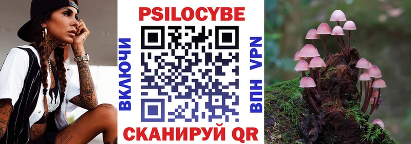 МЕГА как войти  сайты даркнета клад  Галлюциногенные грибы Cubensis  закладки  Гвардейск 
