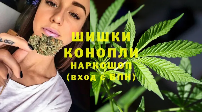 Бошки марихуана Bruce Banner  наркотики  Гвардейск 